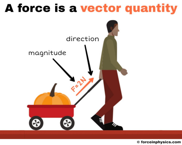 A force is a scalar or vector quantity? (A force is a vector quantity because a force has both magnitude as well as direction)