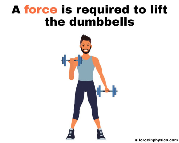 Examples of force in everyday life - A force is required to lift the dumbbells.