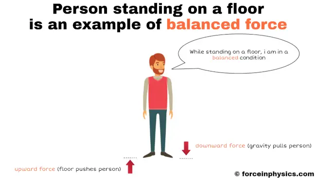 Balanced force example in daily life - Person standing on floor