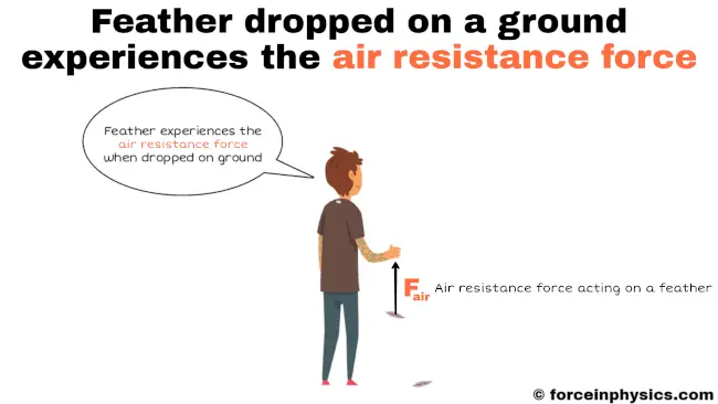 Example of air resistance force - Feather dropped on ground