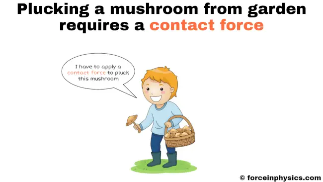 Example of contact force with picture - Plucking a mushroom