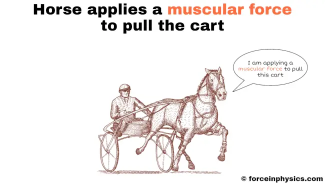 Muscular force example - horse-drawn vehicle