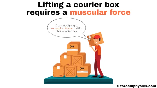 Example of muscular force - Lifting a courier box