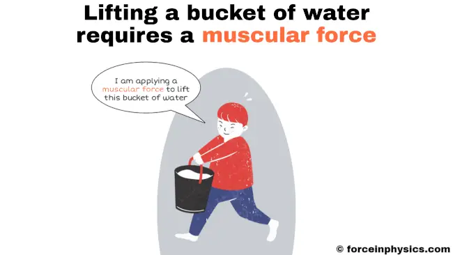 Example of muscular force in physics - Lifting a bucket of water