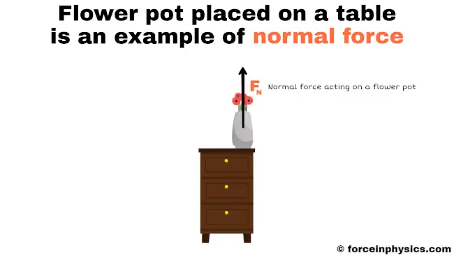Example of normal force - Flower pot placed on a table