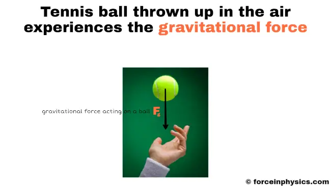 Gravitational force example image - Tennis ball thrown up in the air