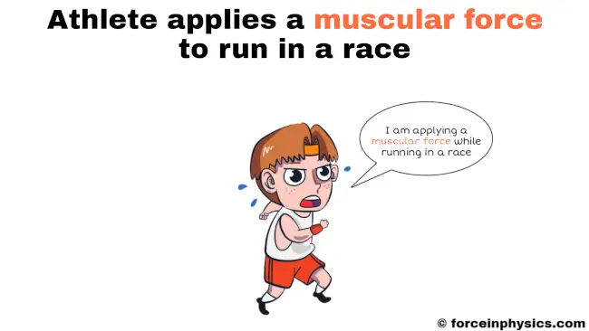 Muscular force example - running