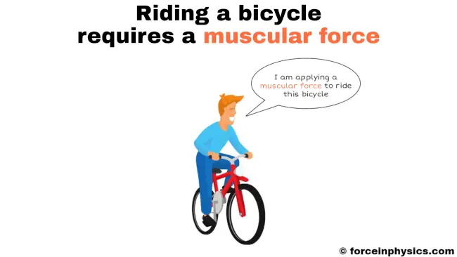 Image of muscular force - Riding a bicycle