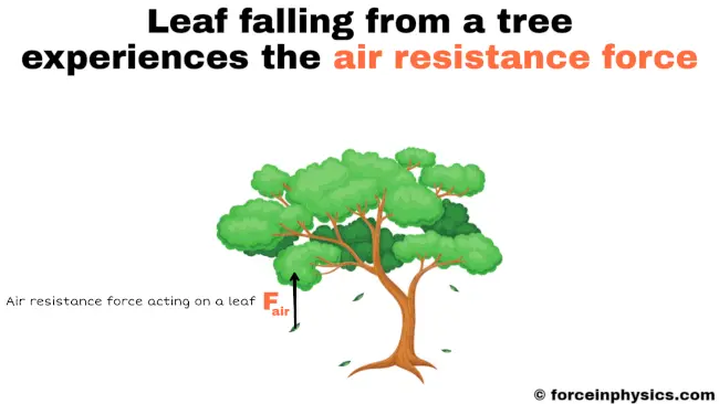 Meaning of air resistance force - Leaf falling from a tree
