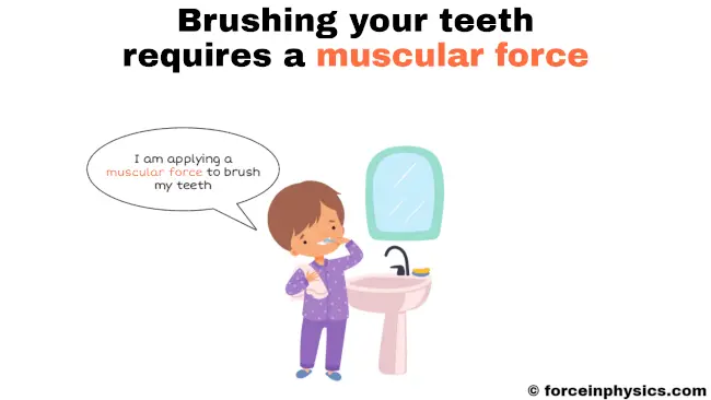 Meaning of muscular force - Brushing your teeth