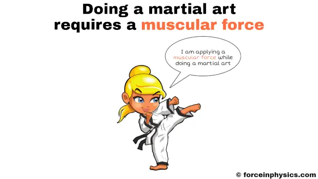 Muscular force example in daily life - Doing a martial art