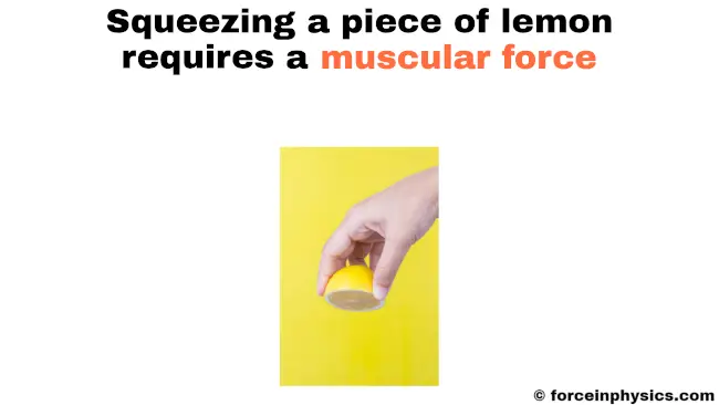 Muscular force example in physics - Squeezing a piece of lemon