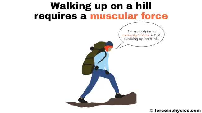 Muscular force example in physics - Walking up on a hill
