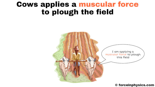 Muscular force example - plow