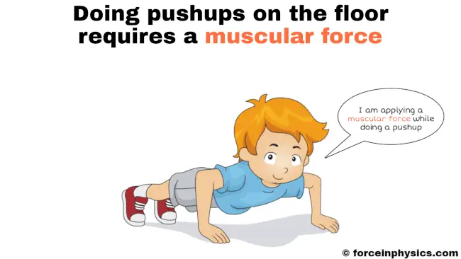 Muscular force example - exercise (push-up)