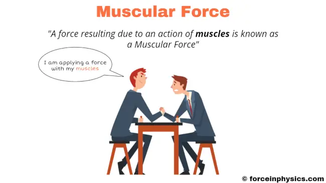 Muscular Force