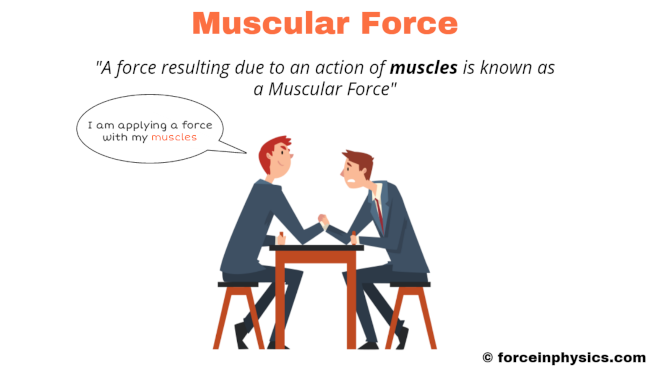 Muscular force