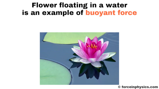 Buoyancy example - Aquatic plant