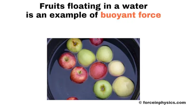 Buoyancy example - Fruit