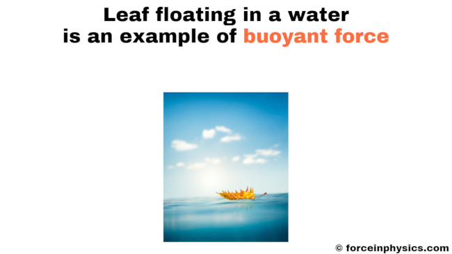 Buoyancy example - Leaf